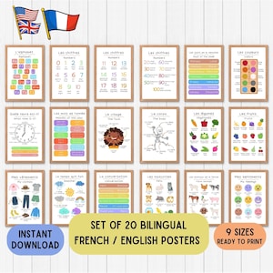 Bilingual French educational decoration posters, French ed language posters, colorful educational, language printable any color set of 20
