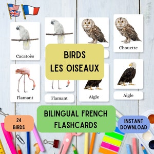 Flashcards para impressão em inglês e francês - pássaros, aprenda Montessori com 27 flashcards de 3 partes em francês Ed, conjunto de flashcard educativo para aprender idiomas