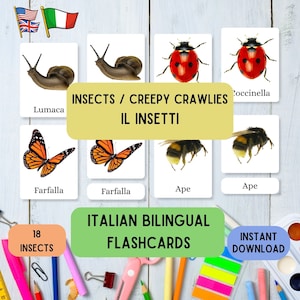Schede didattiche bilingue in lingua italiana - Insetti, impara Montessori con 18 schede didattiche in 3 parti in italiano e inglese per insetti, schede didattiche