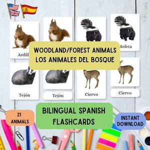 Cartões flash bilíngues em espanhol Animais da floresta, aprenda Montessori com 21 cartões flash em espanhol inglês pdf em 3 partes, conjunto de cartões educativos
