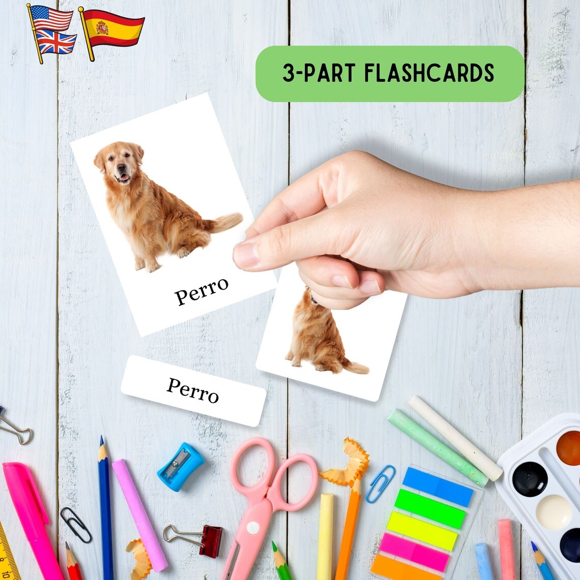 Spanish English Bilingual Flash Cards: Montessori Pets (PDF Download ...