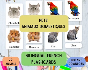 English French Educative Flashcards for Pets, Learn Montessori with 20 French Ed 3-part flashcards, Education material to learn languages