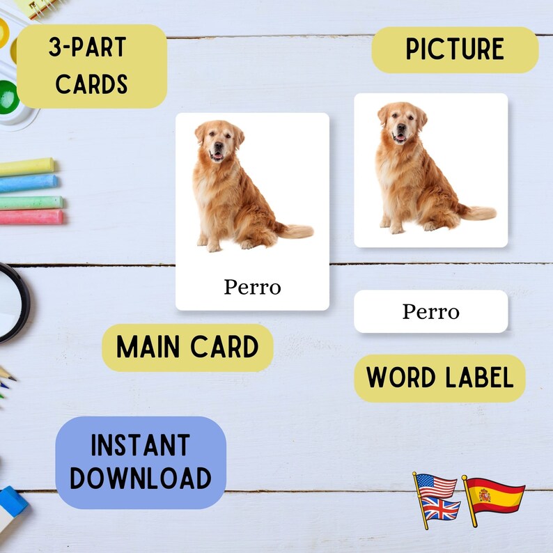 Spanish English Bilingual Flash Cards: Montessori Pets (PDF Download ...