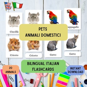 Schede didattiche bilingue in italiano Animali domestici, impara il metodo Montessori con 20 schede didattiche in 3 parti in italiano e inglese per animali, set di schede didattiche educative