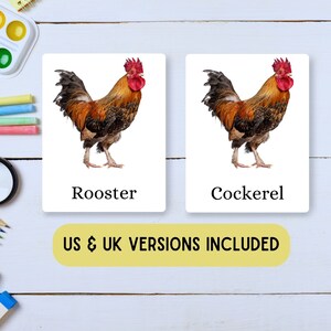Farm Animals Flashcards: Bilingual English French Montessori (digital ...