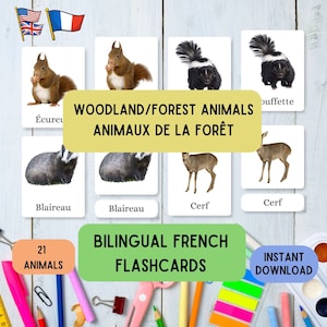 Flashcards para impressão em inglês e francês - Animais da floresta, Aprenda Montessori com 21 flashcards de 3 partes em francês Ed, conjunto de flashcards educativos