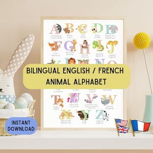 Póster del alfabeto inglés y francés, póster educativo decorativo, educación del alfabeto, póster educativo, descarga imprimible del idioma francés