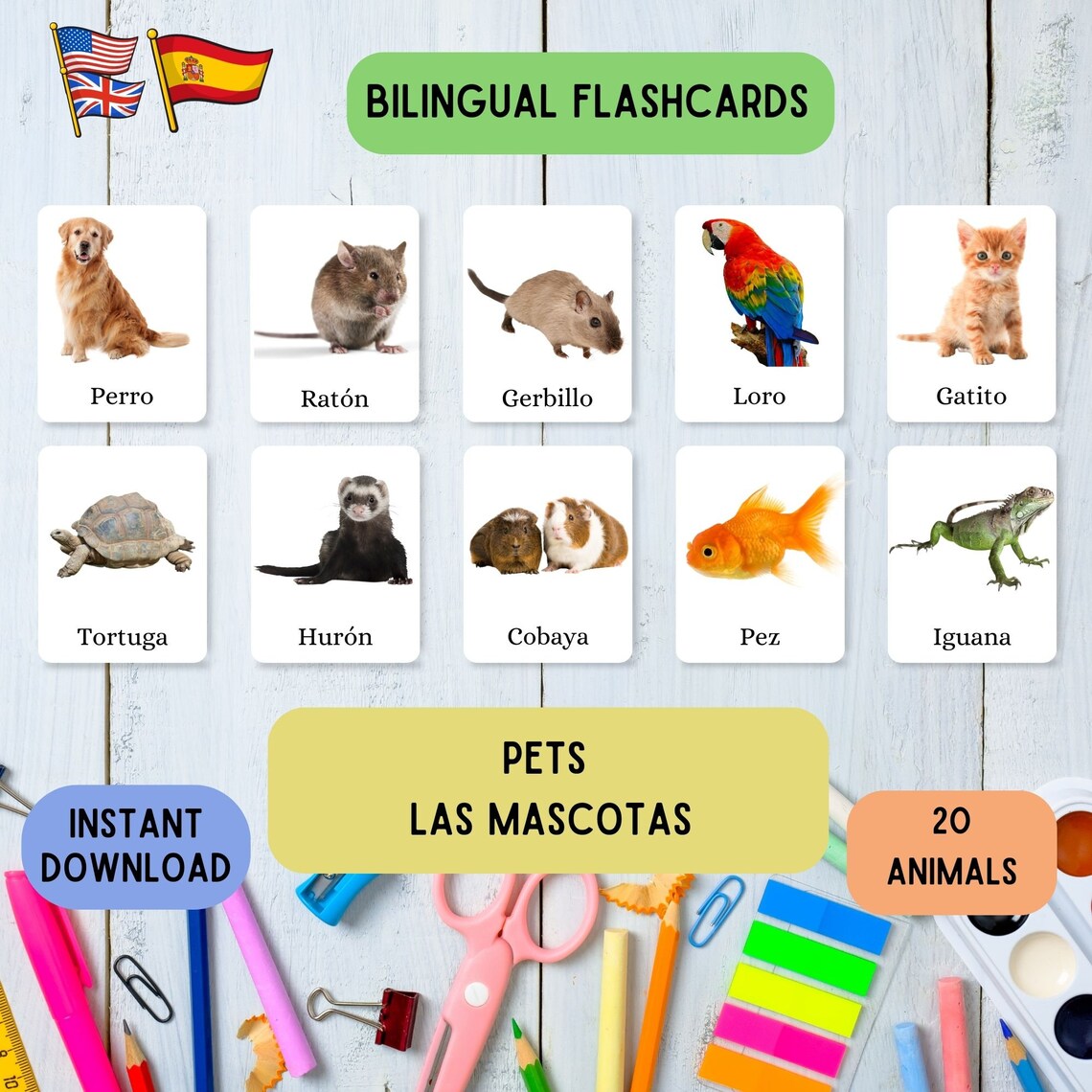Spanish English Bilingual Flash Cards: Montessori Pets (PDF Download ...