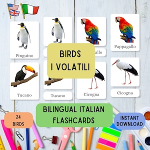 Flashcards bilíngues em italiano para pássaros, aprenda Montessori com 24 flashcards em 3 partes para pássaros, conjunto educativo de flashcards em italiano e inglês