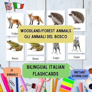 Italian Language Flashcards Forest Animals, learn Montessori with 21 Italian English 3 part flashcards for animals, educative flashcard set