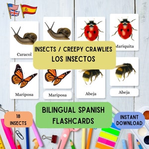 Zweisprachig Spanisch Lernkarten Insekten / Creepy Crawlies, Montessori lernen mit 18 Spanisch Englisch Lernkarten pdf 3-teilige Lernkartei