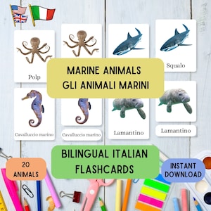 Bilingual Italian Flashcards Marine Animals, learn Montessori with 21 Italian English 3 part flashcards for animals, educative flashcard set