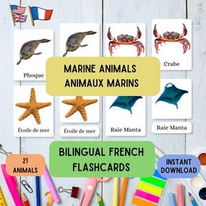 Flashcards para download em inglês francês - Animais marinhos, Aprenda Montessori com 27 flashcards de 3 partes em francês Ed, conjunto de flashcards educativos
