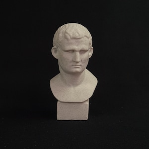 Marcus Vipsanius Agrippa Statue / Marcus Vipsanius Bust / Roman Art Sculpture