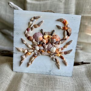Shell Art Decor