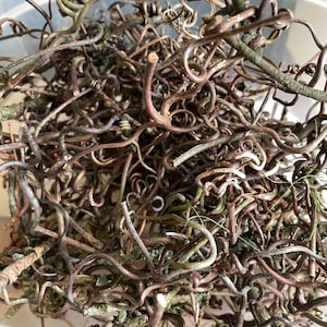May include: A close-up of a pile of dried, curly, and twisted vines. The vines are various shades of brown, with some green and gray patches. The texture is rough and organic, suggesting a natural product.