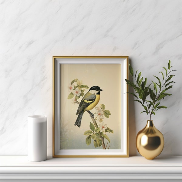 A Parus Major Vintage Botanical Bird Art, Printable wall art, instant digital download