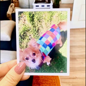 Fujifilm Instax Mini Polaroid Photos, Custom Digital Photo Prints, Photo to Instant Film