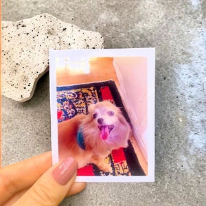 Custom Print Mini Polaroid Photos, Instax Fujifilm Prints Him and Her Personalized Films