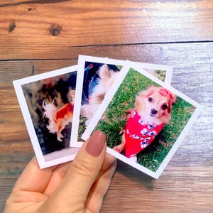 Custom Digital Photo Prints, Custom Instant Photos, Polaroid Photos