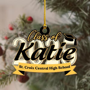 Personalized Graduation Ornament, Personalized School Ornament, Custom Graduate Ornament College Graduation Gift, Graduate Custom Ornament