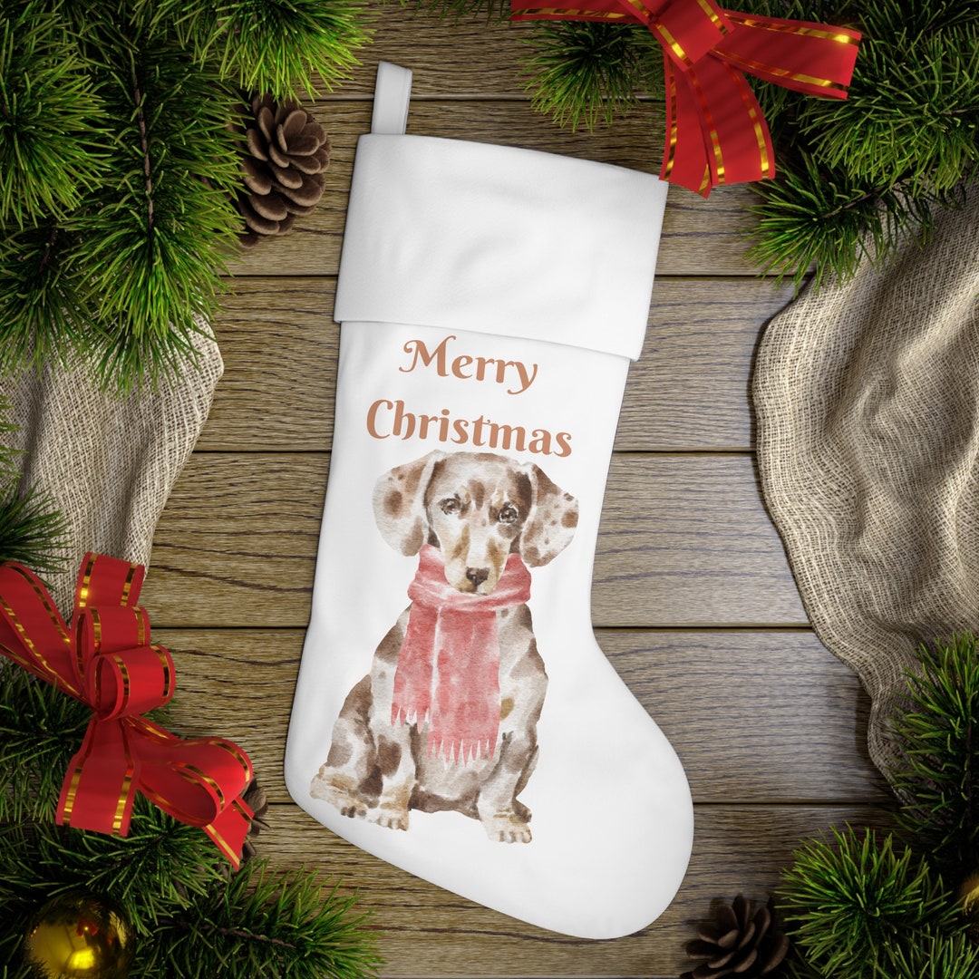 Dachshund Holiday Stocking Etsy