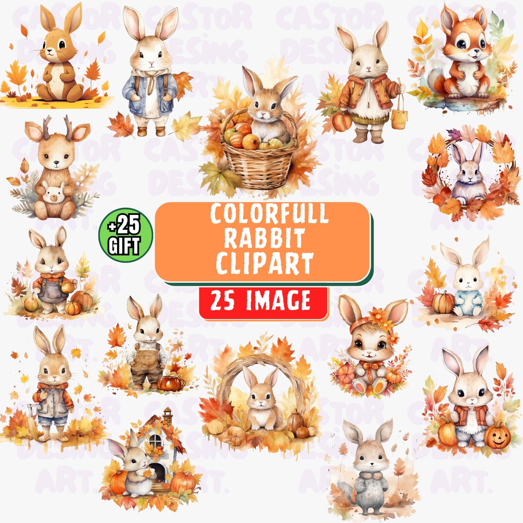 Colorful Rabbit Clipart, Funny Bunny Design Bundle, Funny Rabbit