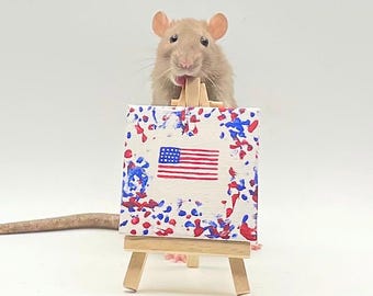 American Flag Rat Painting Fourth of July 4th of July Rat Pet Painting Rats That Can Paint Rat Painting Rat Paw Art Domestic Rat Painting