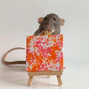 Custom Miniature Rat Painting 3”x3” with Easel
