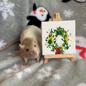 Holiday Rat Painting Pet Rat Painting Rat Pet Painting Rats That Can Paint Christmas Tree Rat Painting Rat Paw Art Domestic Rat Painting