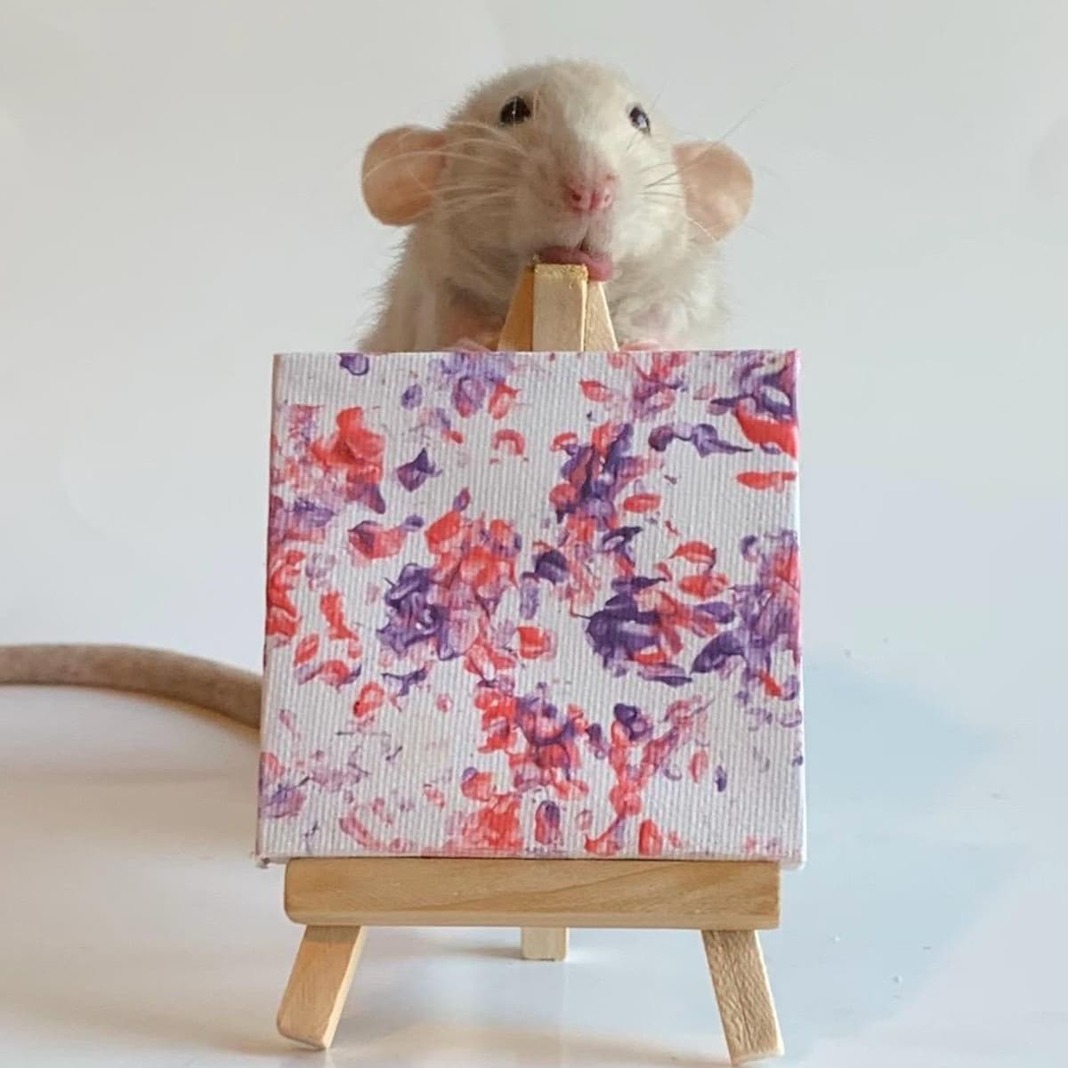 Custom Miniature Rat Painting 3”x3” With Easel - Etsy
