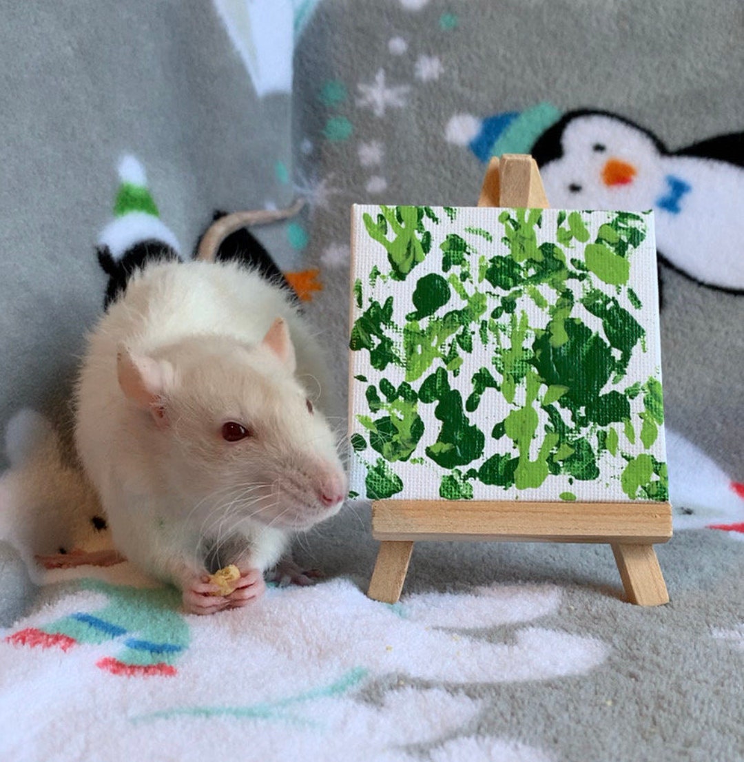 St Patricks Day Rat Painting Pet Rat Painting Rat Pet Painting Rats