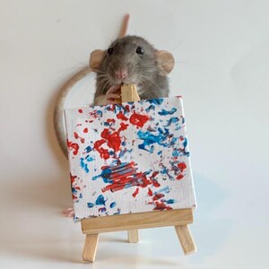 Repainted Rats Custom Miniature Rat Painting 3”x3” With Easel - Etsy Australia