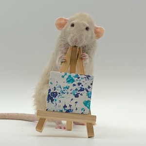 Cuadro de rata en miniatura personalizado de 5 x 5 cm con caballete