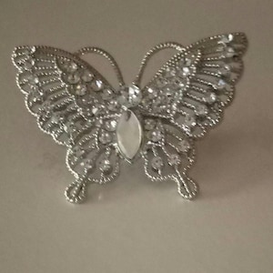 Butterfly pin