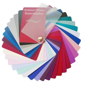 Muestra de color empresarial verano/invierno