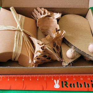Safe Bunny Enrichment Toys | Cardboard Pinwheel, Timothy Hay Wishons und Timothy Hay Pellet + Dandelion Root Mix