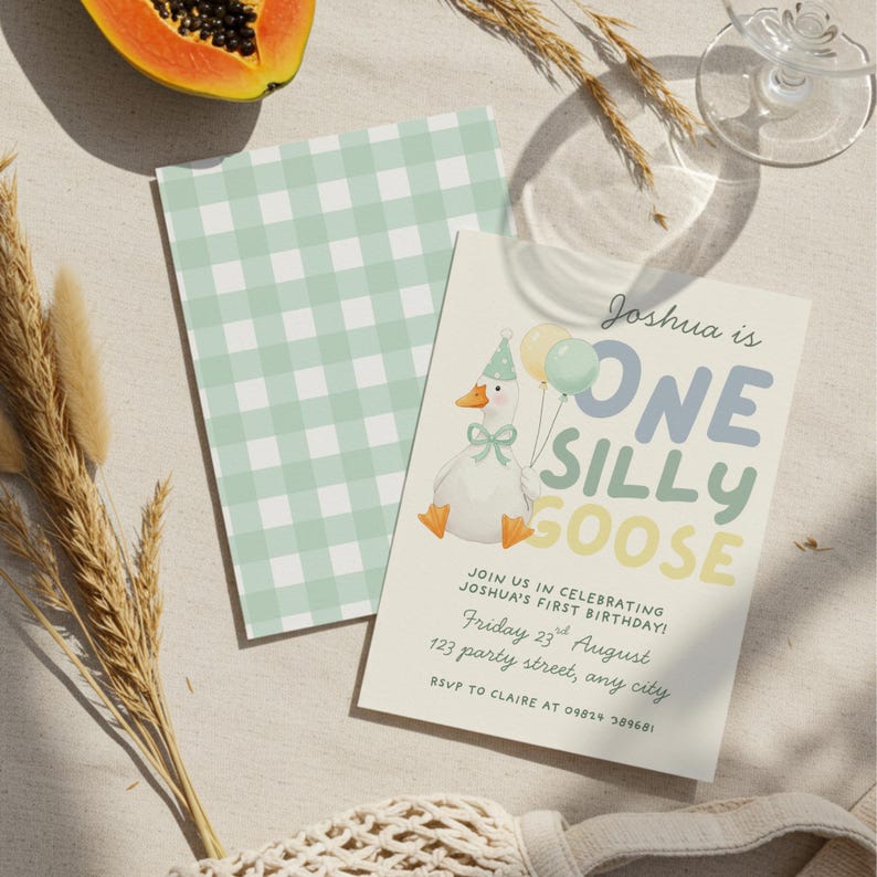 May include: A birthday invitation with a whimsical design. The invitation features a cartoon goose holding balloons, with the text "ONE SILLY GOOSE." A second card with a light green gingham pattern is also visible.