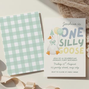 May include: A birthday invitation with a whimsical design. The invitation features a cartoon goose holding balloons and the text "One Silly Goose." A matching card with a green and white checkered pattern is also present.