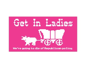 Pro Choice Bumper Sticker: Pink Feminist Vinyl Car Decal