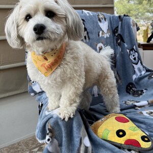 Taco Tuesday Bandana| Pet Bandana Collar| Dog Bandana| Puppy Bandana| Cat Bandana| Dog gift| Puppy gift| Cat Gift