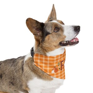PSL herfstpompoen geruite bandana| Bandana-halsband huisdier| Hondenbandana| Puppybandana| Kattenbandana| Hondencadeau| Puppycadeau| Kattencadeau