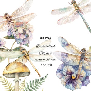 Libel aquarel clipart png bundel, aquarel libel clipart, insect clipart, bloemen libel, commercieel gebruik, scrapbooking