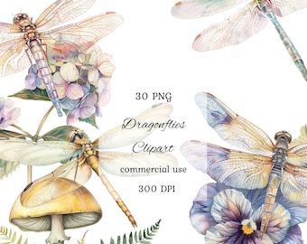 Dragonfly watercolor clipart png bundle, watercolor dragonfly clipart, insect clipart, floral dragonfly, commercial use, scrapbooking