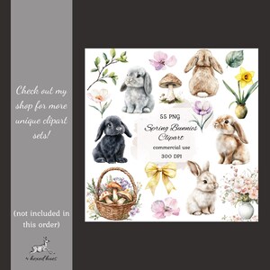 May include: A set of 55 watercolor illustrations featuring spring bunnies, flowers, mushrooms, and other springtime elements. The illustrations are perfect for creating digital or printed designs.