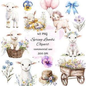 May include: A set of 40 watercolor illustrations featuring cute lambs in various poses, including a lamb in a basket, a lamb with a flower crown, and a lamb holding balloons. The illustrations also include various flowers and a wagon filled with flowers.