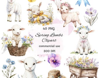 Paquete de imágenes prediseñadas de cordero primaveral en acuarela, imágenes prediseñadas de cordero bebé, corderito, baby shower de cordero, imágenes prediseñadas florales de primavera, guardería de cordero bebé