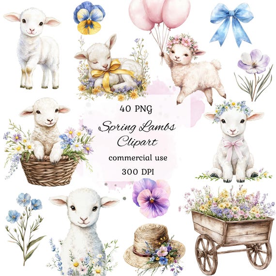 Watercolor spring lamb clipart png bundle, baby lamb clipart, little lamb, lamb baby shower, spring floral clipart, lamb baby nursery