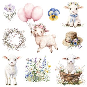 May include: A set of watercolor illustrations featuring cute lambs, flowers, and a straw hat. The lambs are white with fluffy fur and have sweet expressions. The flowers are in shades of pink, blue, and purple. The straw hat is decorated with flowers.