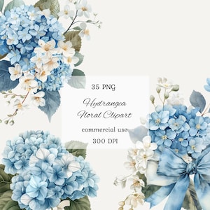 Hydrangea clipart png bundle, light blue hydrangea clipart, watercolor hydrangea, wedding clipart, commercial use, botanical, scrapbooking